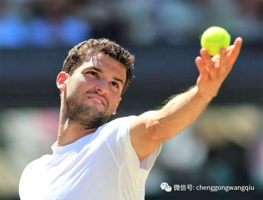 在体育竞技 在体育竞技