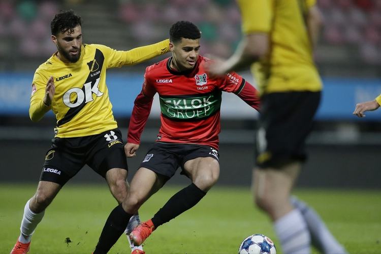 适应能力的 适应能力的