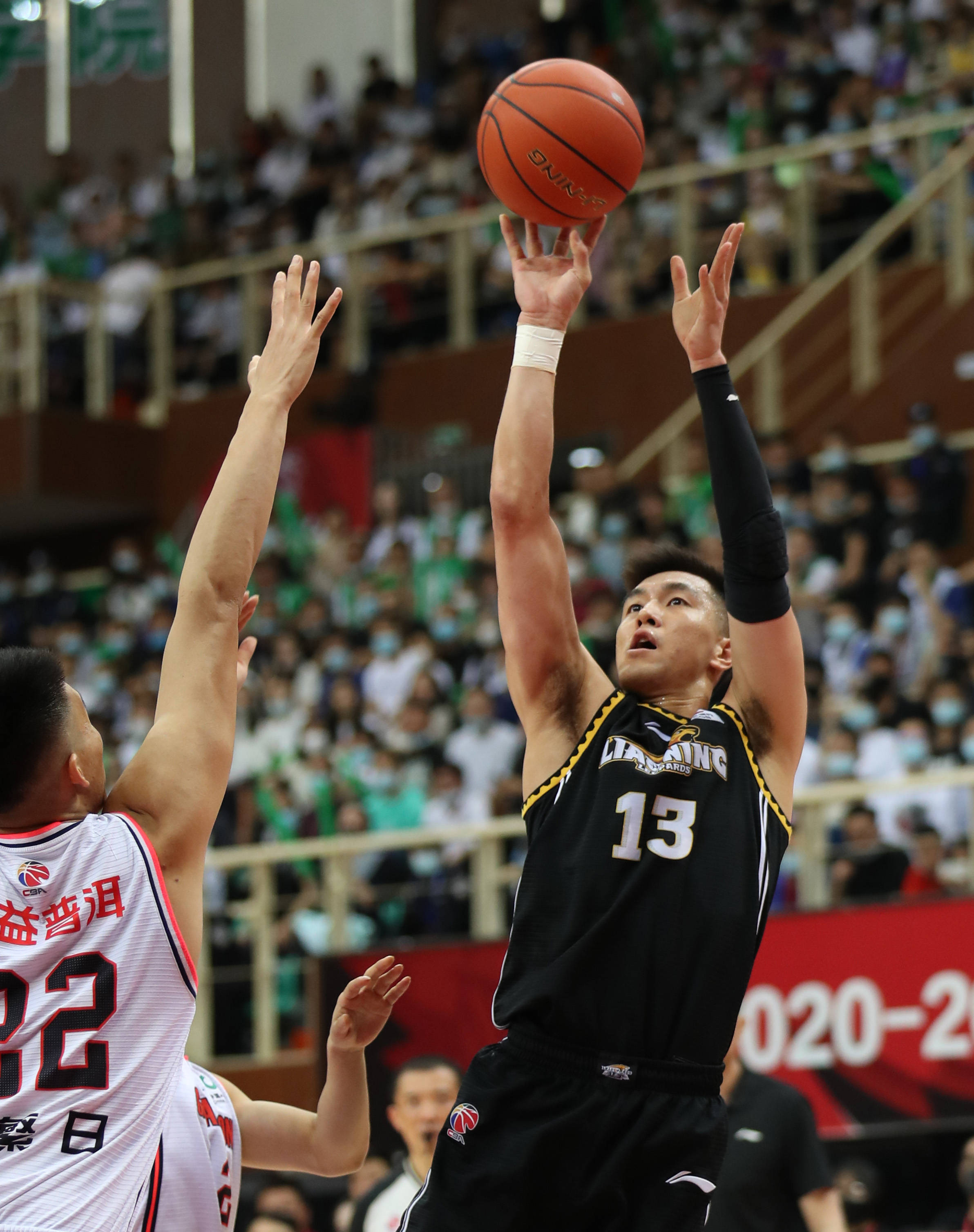 的粉丝基础 的粉丝基础